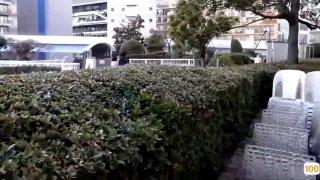 重生之投资之王毕节贵阳地区找金主bb